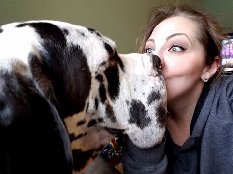 Dog Kisses: Woman French Kisses Big Dog